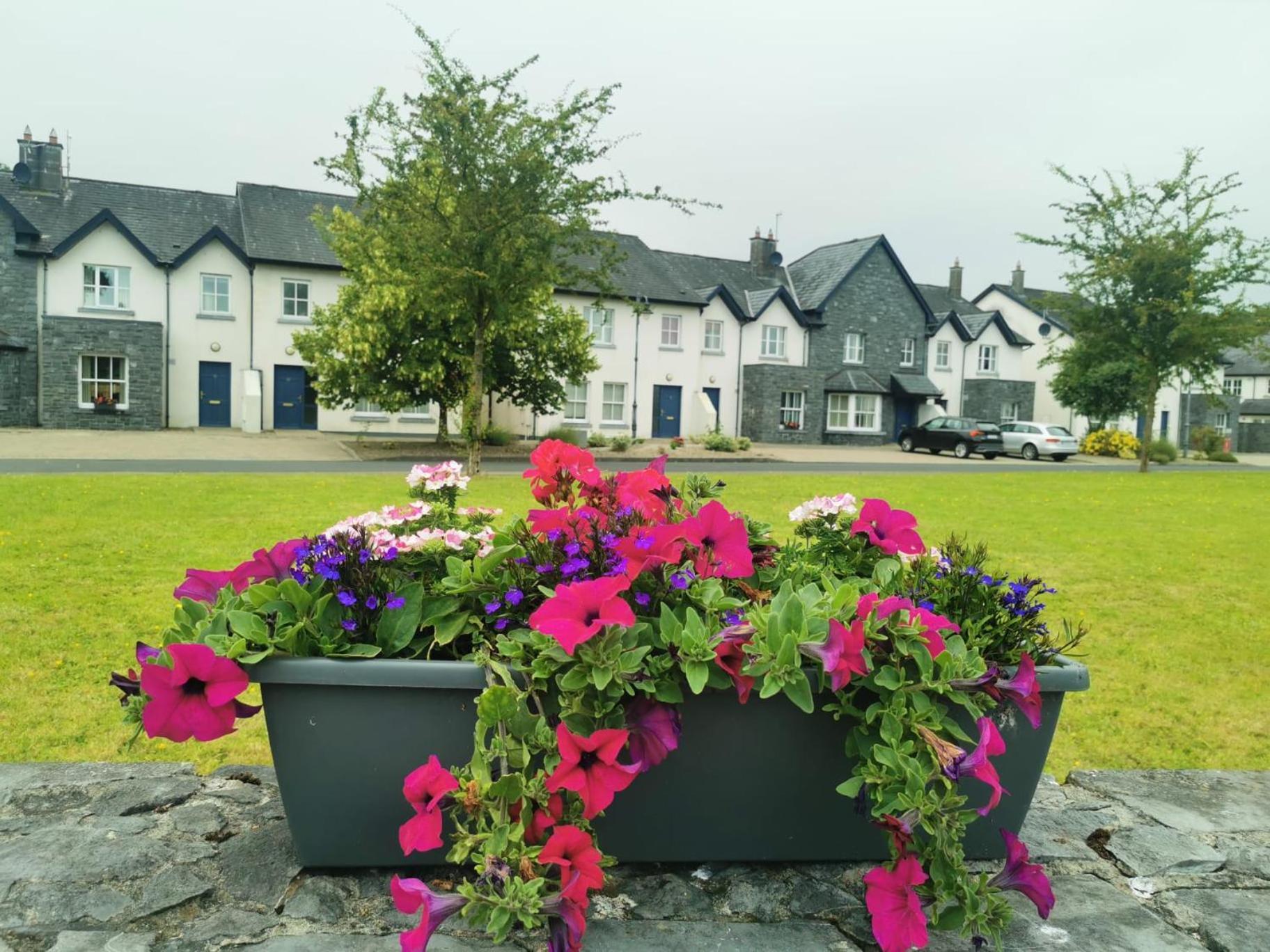 Bunratty Holiday Homes Extérieur photo