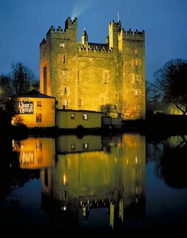 Bunratty Holiday Homes Extérieur photo